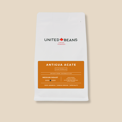 Guatemala Antigua | Medium Roast - United Beans specialty coffee beans in Canada