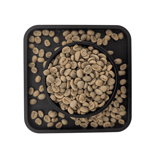 Honduras Ocotepeque FTO Green Coffee Beans - United Beans specialty coffee beans in Canada