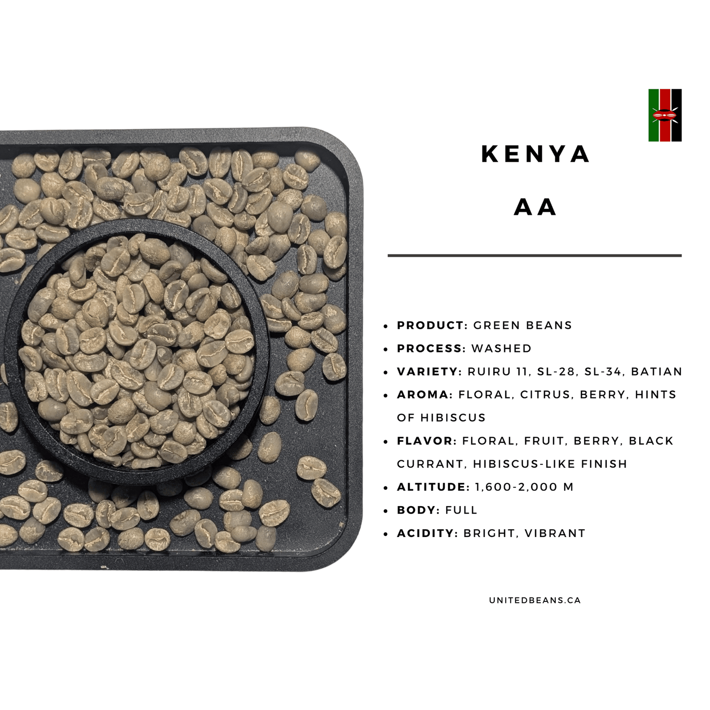 Kenya AA — Green Coffee Beans — Black Currant, Berry and Hibiscus - United Beans specialty coffee beans in Canada