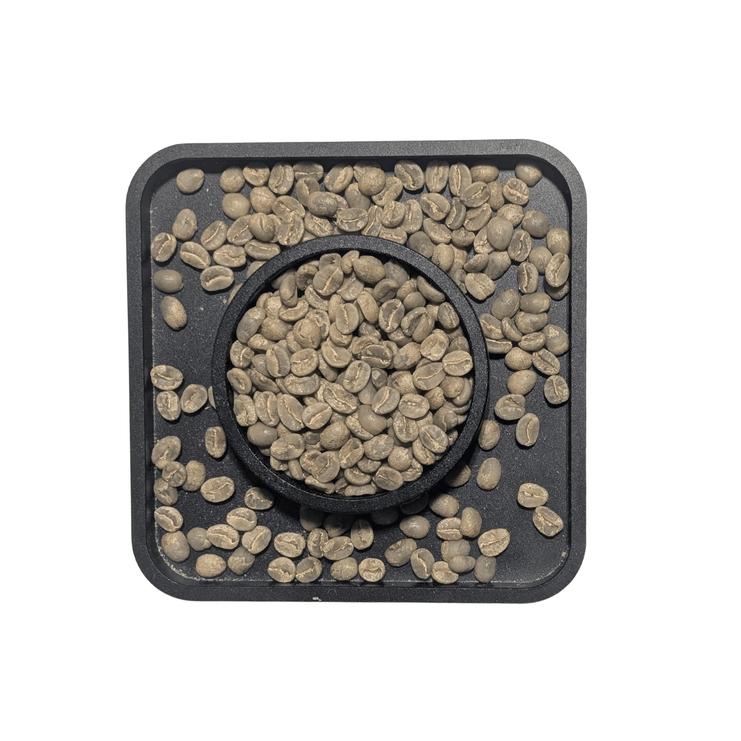Kenya AA — Green Coffee Beans — Black Currant, Berry and Hibiscus - United Beans specialty coffee beans in Canada