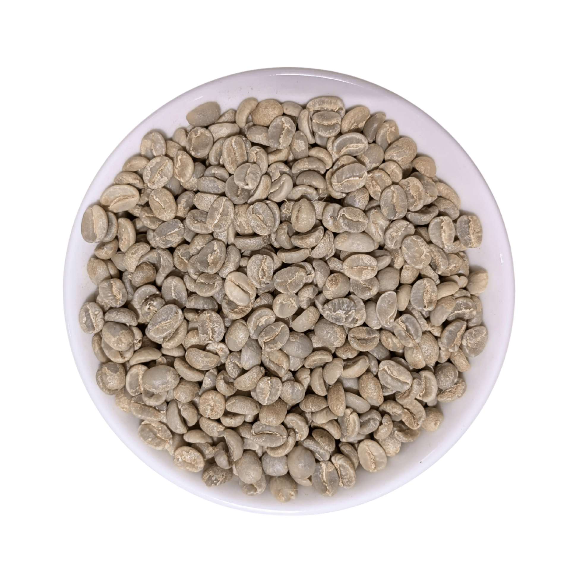 Kenya AA Plus Green Coffee Beans - United Beans specialty coffee beans in Canada