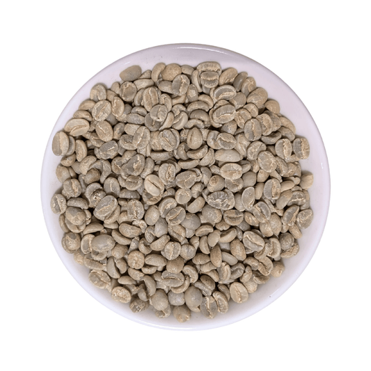 Kenya AA Plus Green Coffee Beans - United Beans specialty coffee beans in Canada