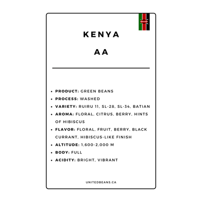 Kenya AA Plus Green Coffee Beans - United Beans specialty coffee beans in Canada