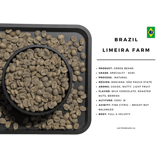 Limeira Farm | Green Coffee Beans from Brazil - United Beans specialty coffee beans in Canada