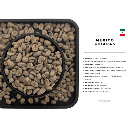 Mexico Chiapas Organic Fairtrade Green Coffee Beans - United Beans specialty coffee beans in Canada