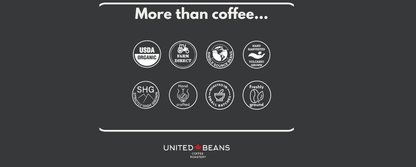 Nicaragua Ground Pack - United Beans specialty coffee beans in Canada