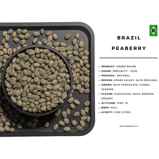 Peaberry Natural | Green Coffee Beans from Brazil - United Beans specialty coffee beans in Canada