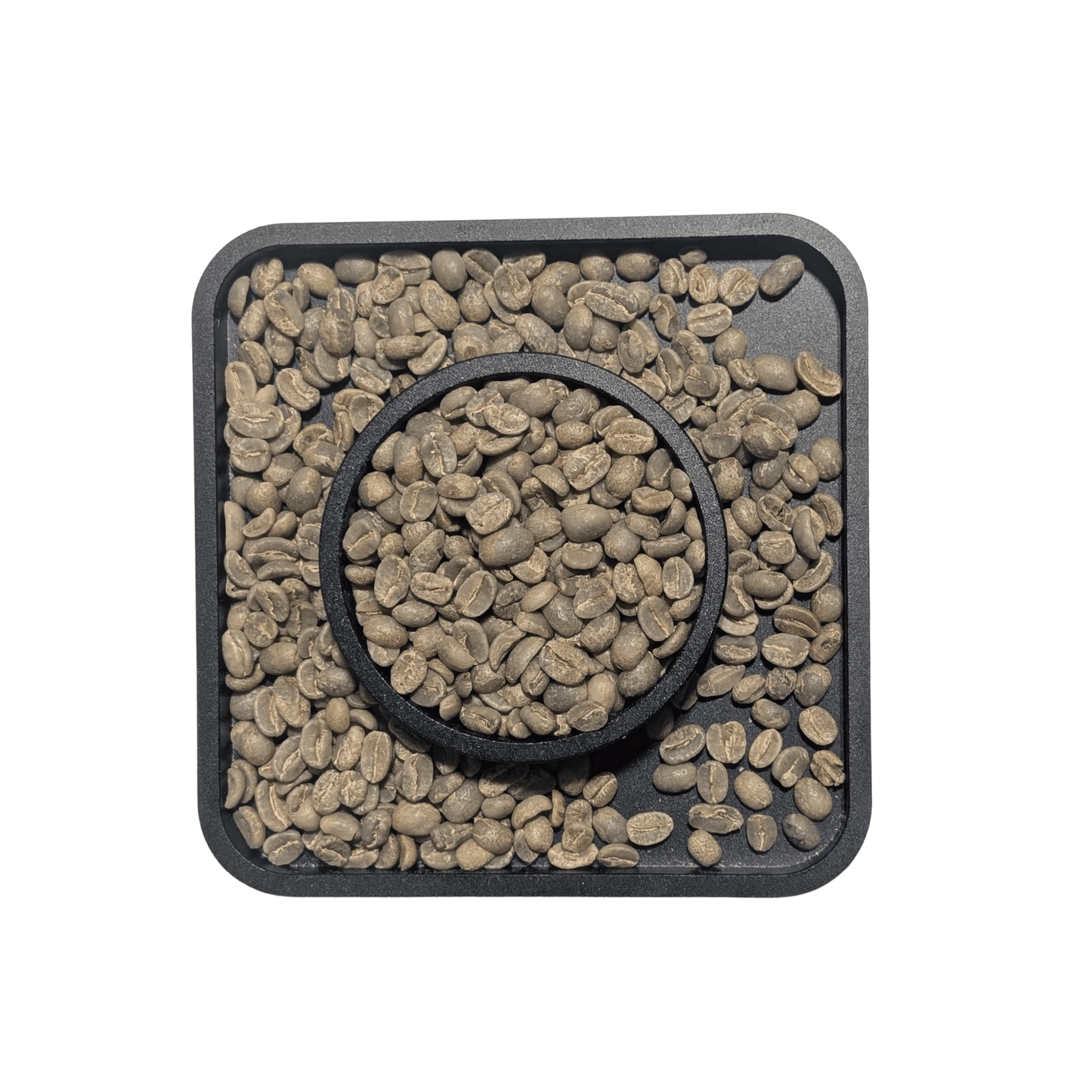 Peru Cajamarca — Green Coffee Beans — Stone Fruit, Honey and Caramel - United Beans specialty coffee beans in Canada