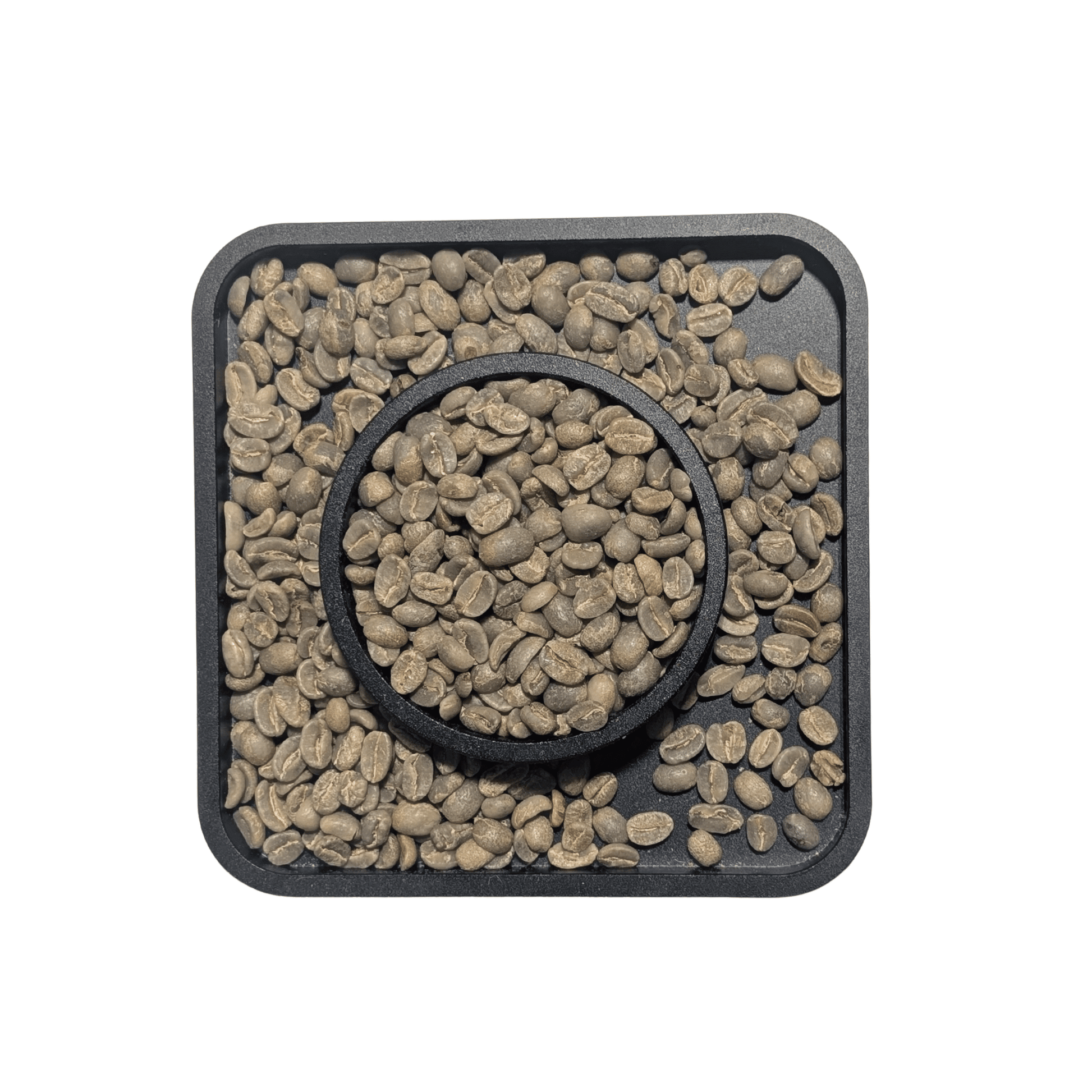 Peru Cajamarca — Green Coffee Beans — Stone Fruit, Honey and Caramel - United Beans specialty coffee beans in Canada