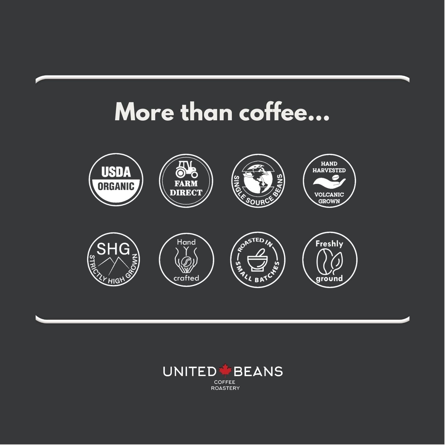 Pour Over Coffee Box | Mix - United Beans specialty coffee beans in Canada