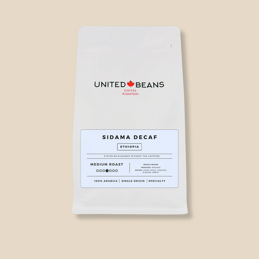 Sidama Ethiopia | Decaf