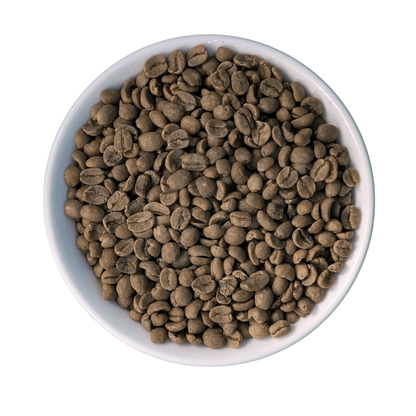 Swiss Water Process Green Decaf Coffee Beans | Costa Rica Tarazu - United Beans specialty coffee beans in Canada