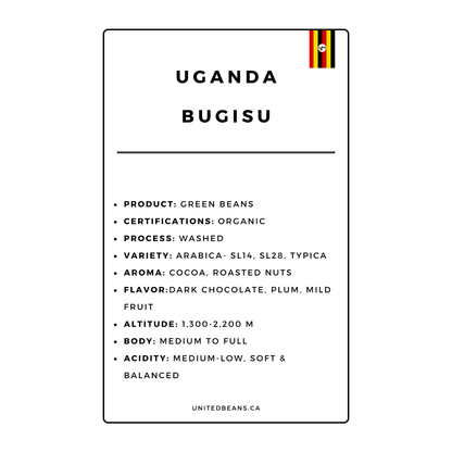 Uganda Bugisu Certified Organic | Green Coffee Beans - United Beans specialty coffee beans in Canada