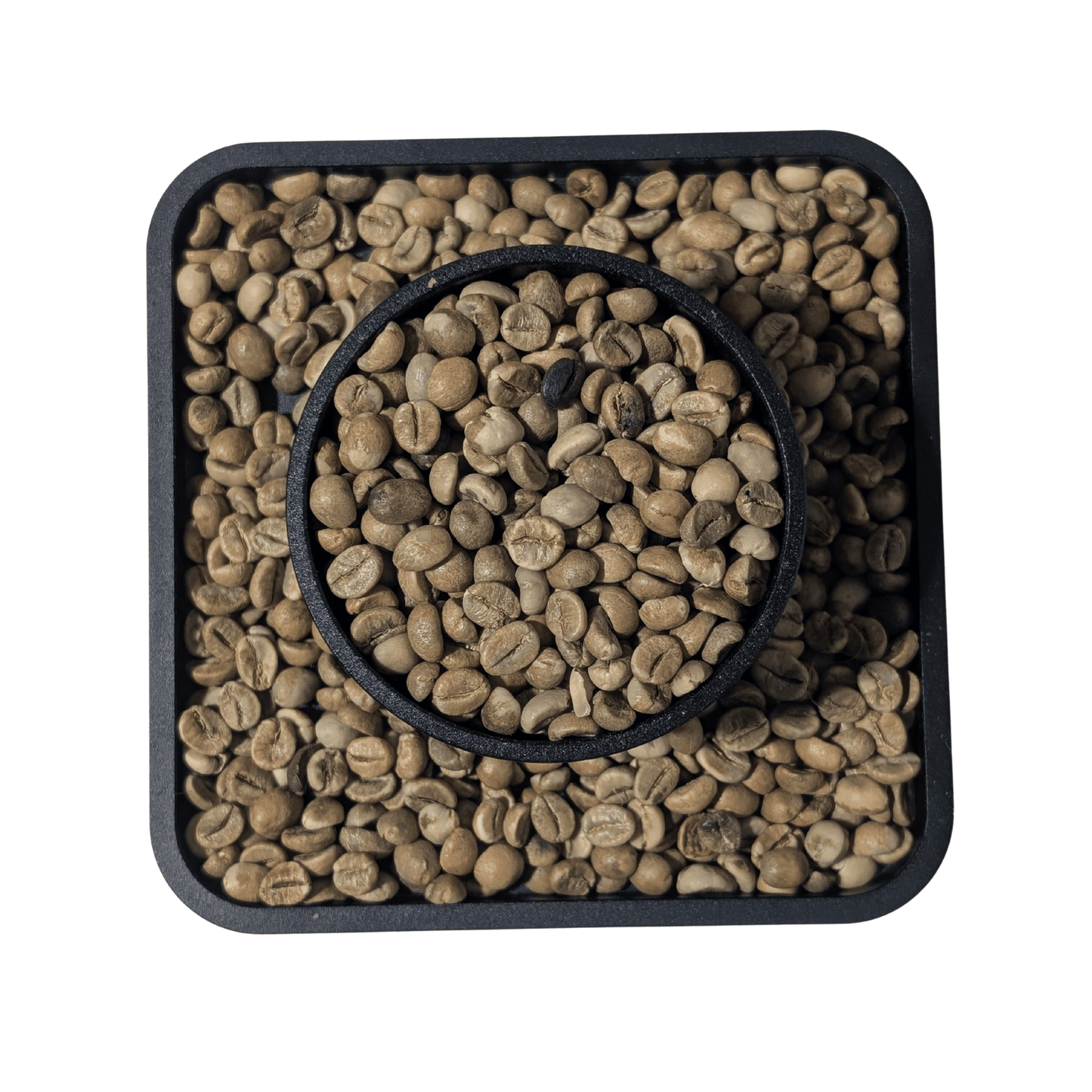Uganda Robusta SC18 | Green Coffee Beans - United Beans specialty coffee beans in Canada