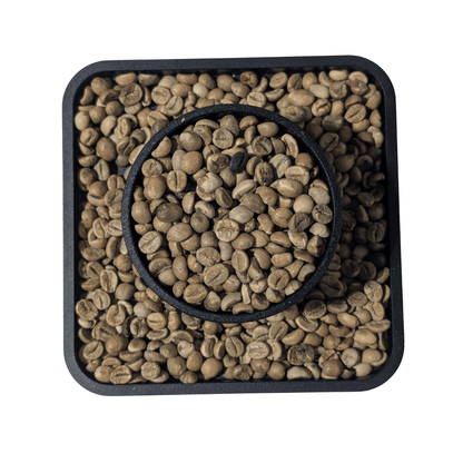 Uganda Robusta SC18 | Green Coffee Beans - United Beans specialty coffee beans in Canada