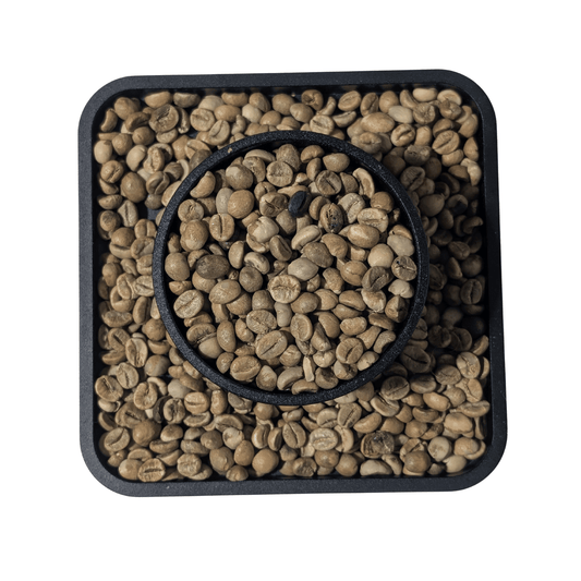 Uganda Robusta SC18 | Green Coffee Beans - United Beans specialty coffee beans in Canada