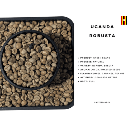 Uganda Robusta SC18 | Green Coffee Beans - United Beans specialty coffee beans in Canada