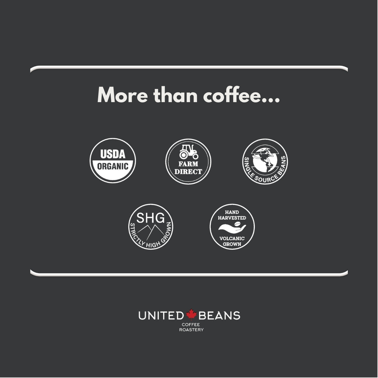 Unroasted green coffee beans, organic, specialty coffee for home roasting from United Beans Coffee Roastery